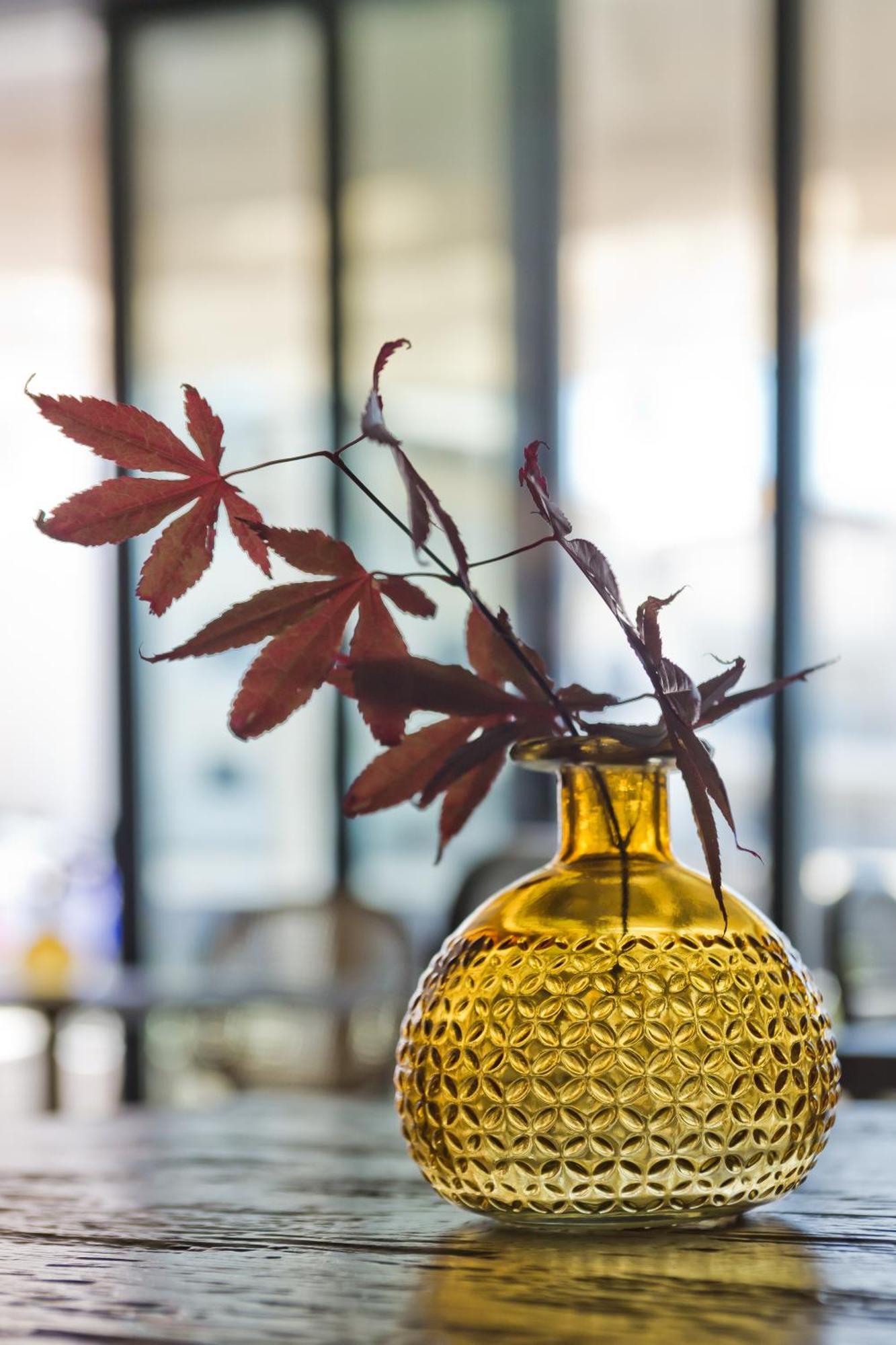 Arcus Luxury Appartamento *